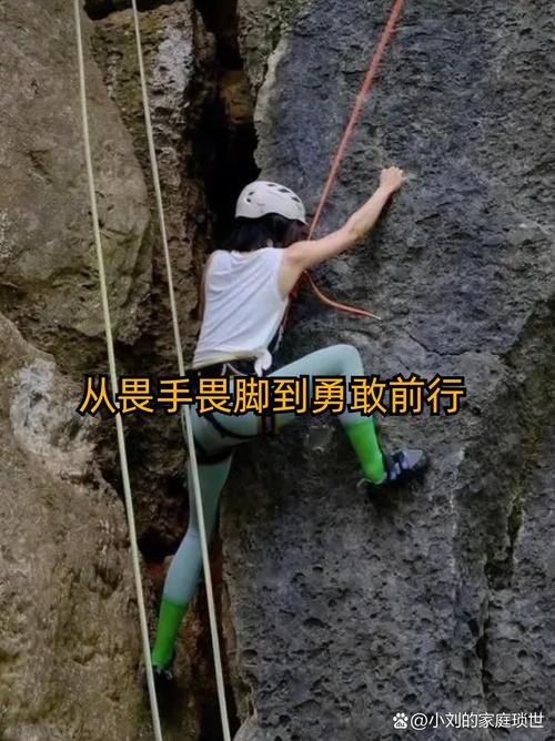 68岁老太徒手翻越5米高墙，展现勇气与坚持的力量